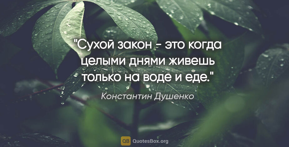 Константин Душенко цитата: "Сухой закон - это когда целыми днями живешь только на воде и еде."