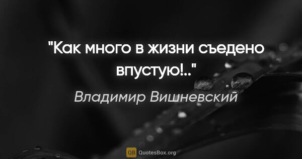 Владимир Вишневский цитата: "Как много в жизни съедено впустую!.."