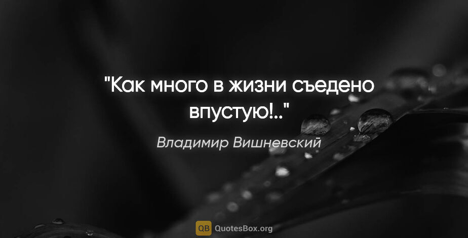 Владимир Вишневский цитата: "Как много в жизни съедено впустую!.."