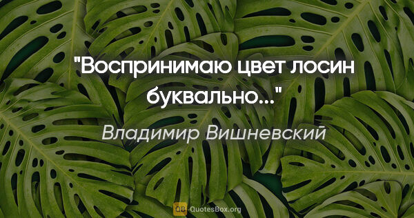 Владимир Вишневский цитата: "Воспринимаю цвет лосин буквально..."