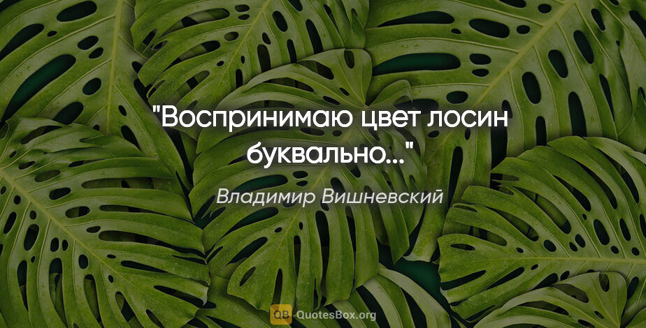 Владимир Вишневский цитата: "Воспринимаю цвет лосин буквально..."