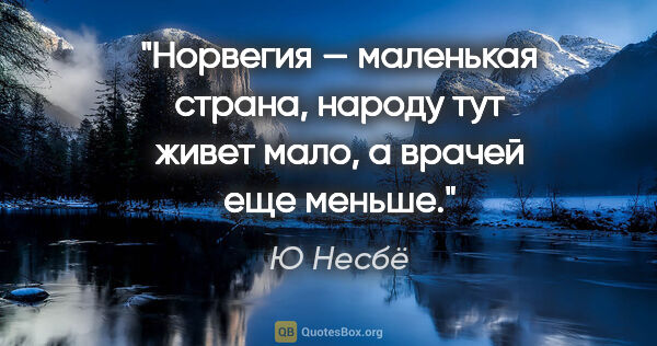 Ю Несбё цитата: "Норвегия — маленькая страна, народу тут живет мало, а врачей..."