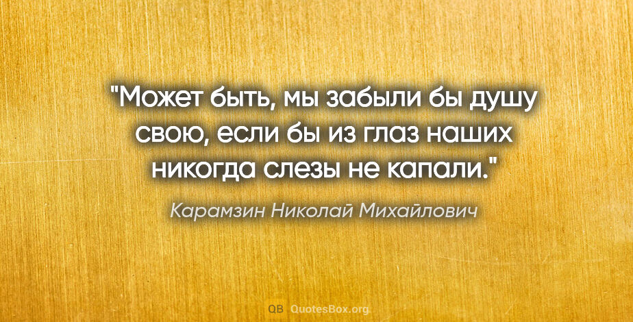 Карамзин Николай Михайлович цитата: "Может быть, мы забыли бы душу свою, если бы из глаз наших..."