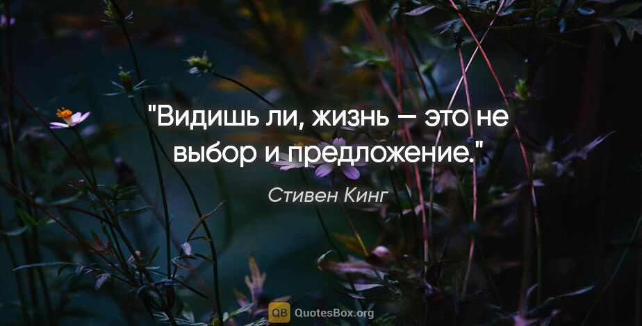 Стивен Кинг цитата: "Видишь ли, жизнь — это не выбор и предложение."