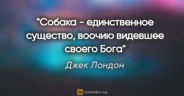 Джек Лондон цитата: "Собака - единственное существо, воочию видевшее своего Бога"