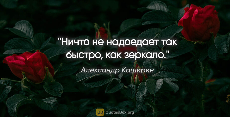 Александр Каширин цитата: "Ничто не надоедает так быстро, как зеркало."