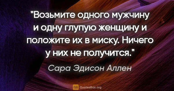 Сара Эдисон Аллен цитата: "Возьмите одного мужчину и одну глупую женщину и положите их в..."