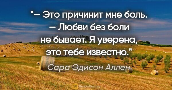 Сара Эдисон Аллен цитата: "— Это причинит мне боль.

— Любви без боли не бывает. Я..."