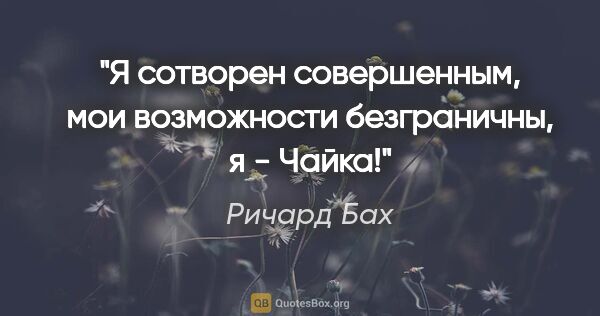 Ричард Бах цитата: "Я сотворен совершенным, мои возможности безграничны, я - Чайка!""