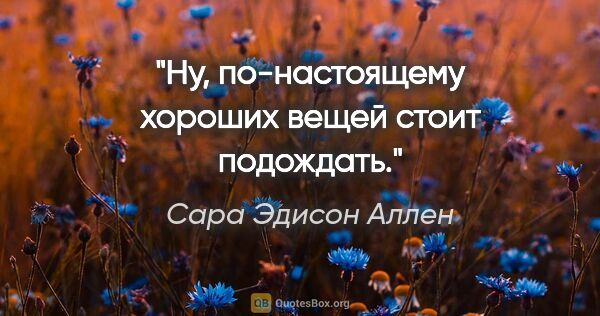 Сара Эдисон Аллен цитата: "Ну, по-настоящему хороших вещей стоит подождать."