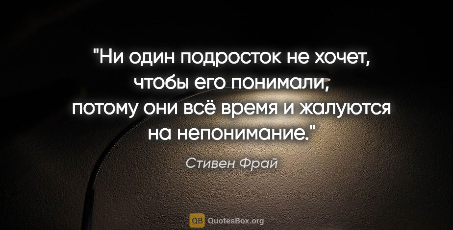 Стивен Фрай цитата: "Ни один подросток не хочет, чтобы его понимали, потому они всё..."