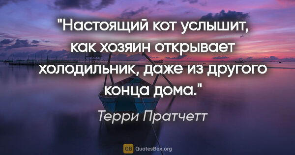 Терри Пратчетт цитата: ""Настоящий кот услышит, как хозяин открывает холодильник, даже..."