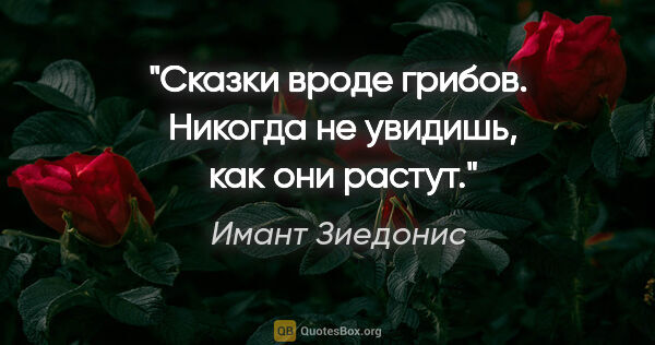 Имант Зиедонис цитата: "Сказки вроде грибов. 

Никогда не увидишь, 

как они растут."