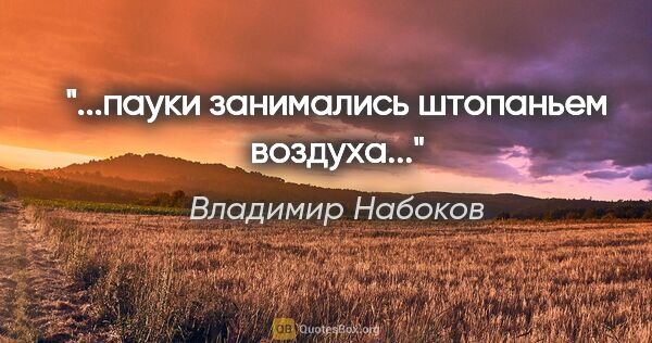 Владимир Набоков цитата: "...пауки занимались штопаньем воздуха..."