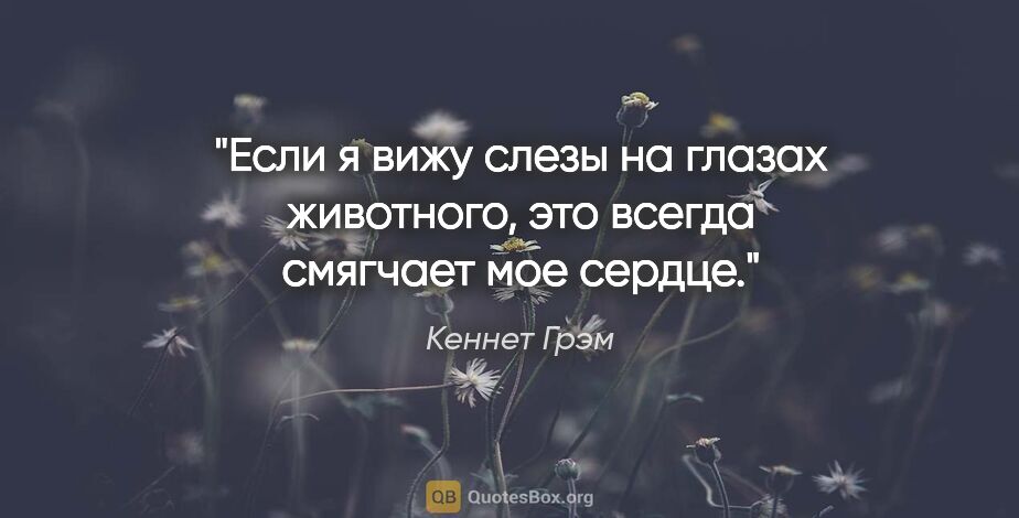 Кеннет Грэм цитата: "Если я вижу слезы на глазах животного, это всегда смягчает мое..."