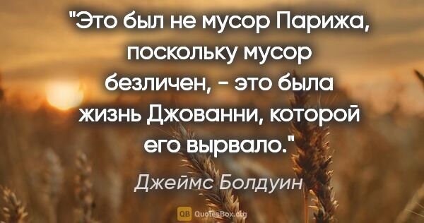 Джеймс Болдуин цитата: "Это был не мусор Парижа, поскольку мусор безличен, - это была..."