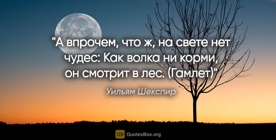 Уильям Шекспир цитата: "А впрочем, что ж, на свете нет чудес:

Как волка ни корми, он..."