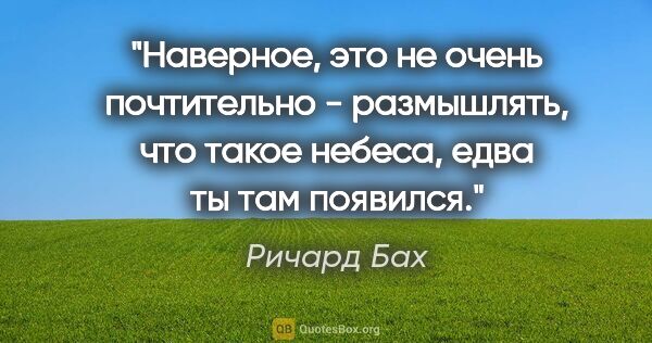 Ричард Бах цитата: ""Наверное, это не очень почтительно - размышлять, что такое..."