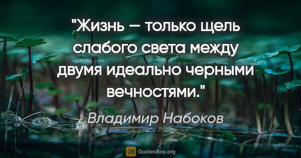 Владимир Набоков цитата: "Жизнь — только щель слабого света между двумя идеально черными..."