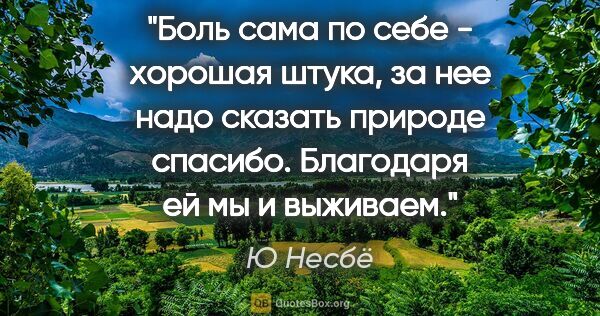 Ю Несбё цитата: "Боль сама по себе - хорошая штука, за нее надо сказать природе..."