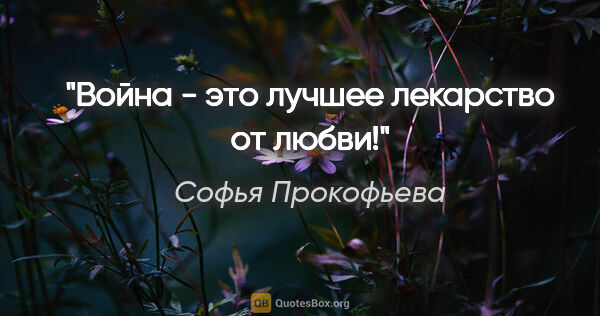 Софья Прокофьева цитата: "Война - это лучшее лекарство от любви!"
