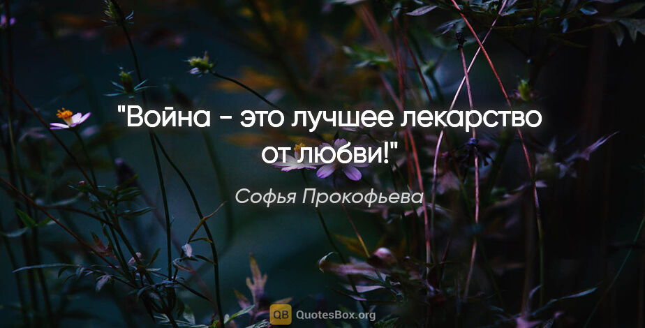 Софья Прокофьева цитата: "Война - это лучшее лекарство от любви!"