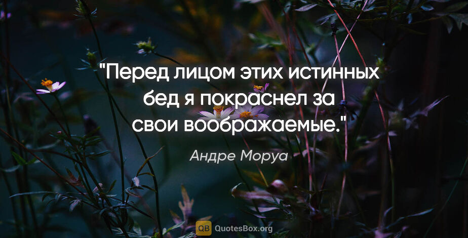 Андре Моруа цитата: "Перед лицом этих истинных бед я покраснел за свои воображаемые."