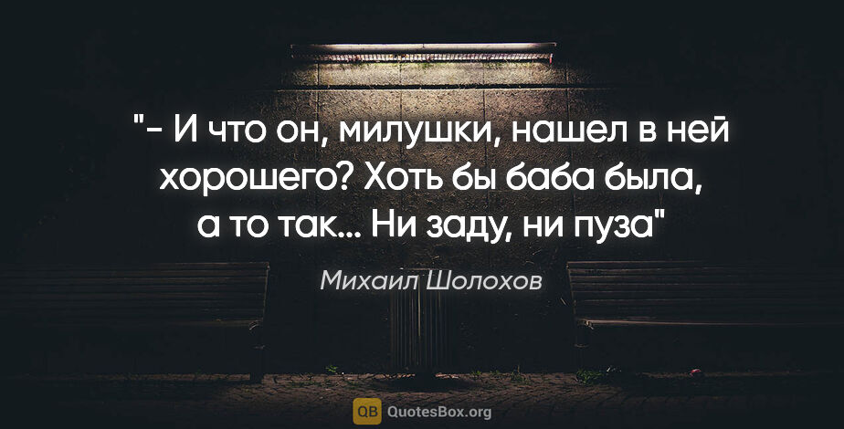 Михаил Шолохов цитата: "- И что он, милушки, нашел в ней хорошего? Хоть бы баба была,..."