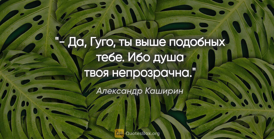 Александр Каширин цитата: "- Да, Гуго, ты выше подобных тебе. Ибо душа твоя непрозрачна."