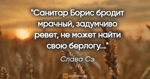 Слава Сэ цитата: "Санитар Борис бродит мрачный, задумчиво ревет, не может найти..."