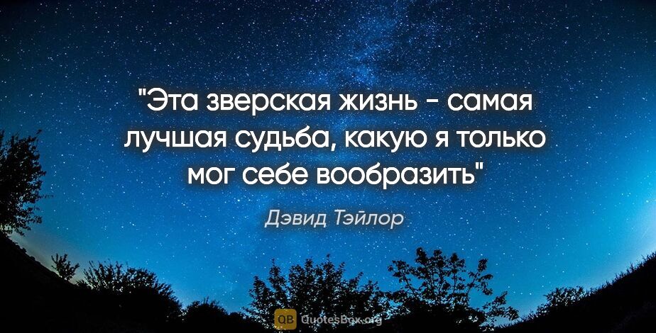 Дэвид Тэйлор цитата: "Эта зверская жизнь - самая лучшая судьба, какую я только мог..."