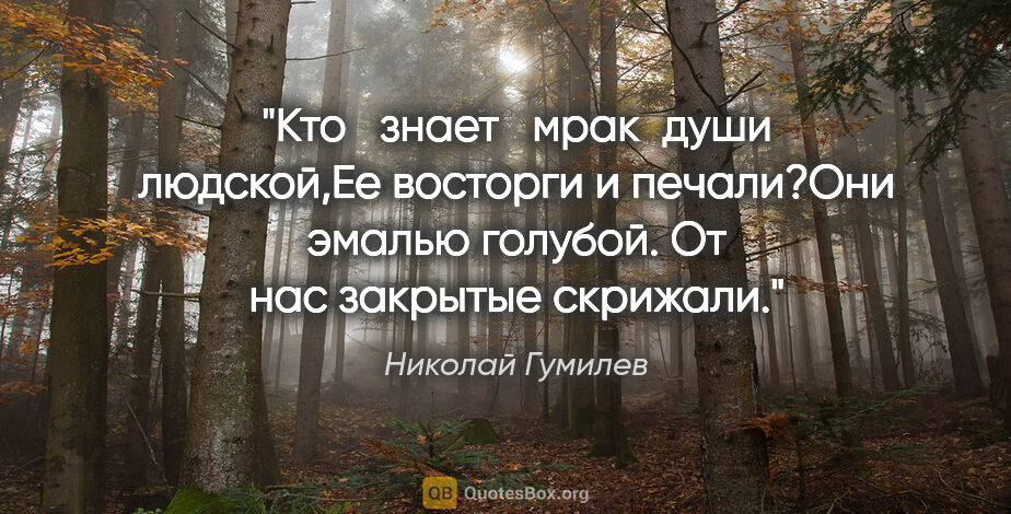 Николай Гумилев цитата: "Кто   знает   мрак  души людской,Ее восторги и печали?Они..."