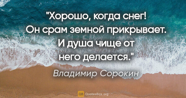 Владимир Сорокин цитата: "Хорошо, когда снег! Он срам земной прикрывает. И душа чище от..."