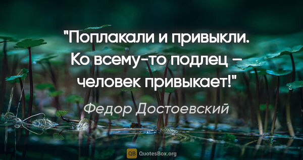 Федор Достоевский цитата: "Поплакали и привыкли. Ко всему-то подлец – человек привыкает!"