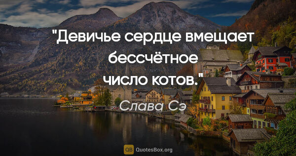 Слава Сэ цитата: "Девичье сердце вмещает бессчётное число котов."