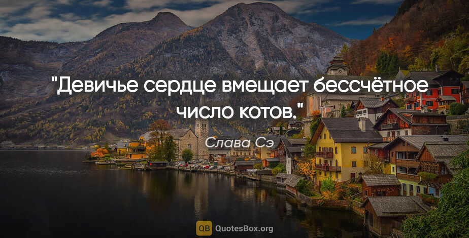 Слава Сэ цитата: "Девичье сердце вмещает бессчётное число котов."