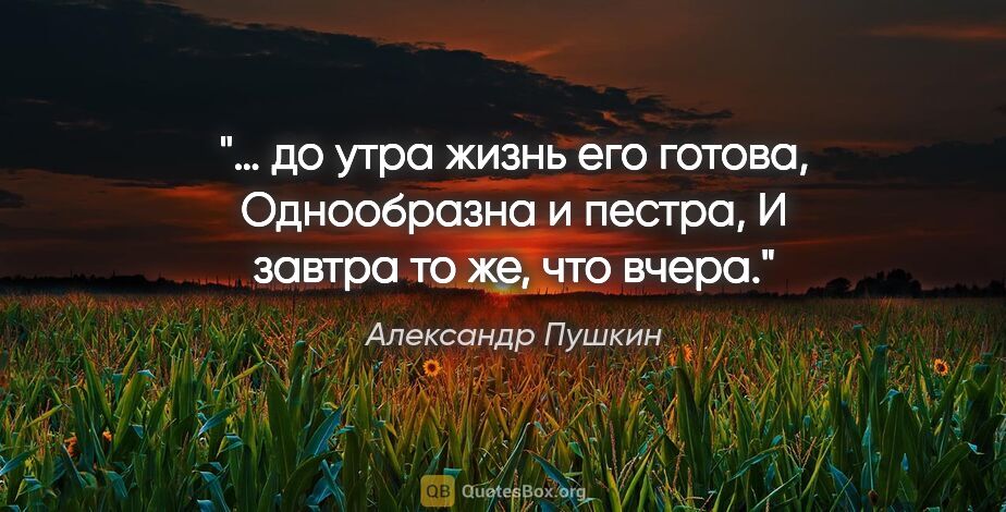 Александр Пушкин цитата: "… до утра жизнь его готова,

Однообразна и пестра,

И завтра..."