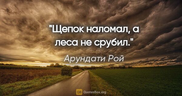 Арундати Рой цитата: "Щепок наломал, а леса не срубил."