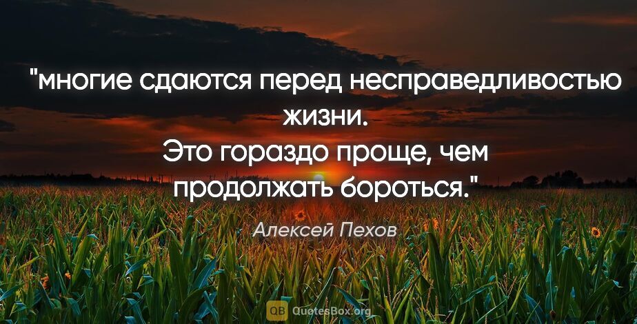 Алексей Пехов цитата: "многие сдаются перед несправедливостью жизни. Это гораздо..."