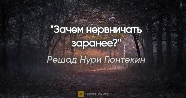 Решад Нури Гюнтекин цитата: "Зачем нервничать заранее?"