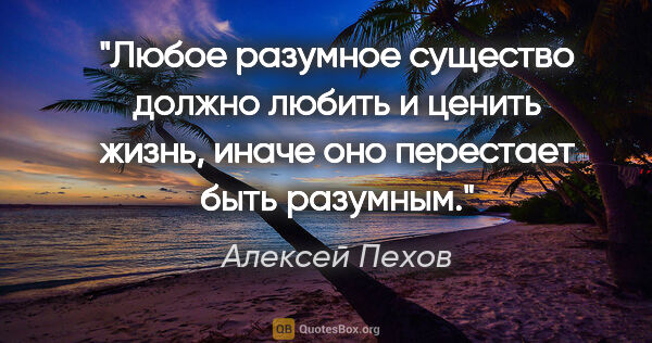 Алексей Пехов цитата: "Любое разумное существо должно любить и ценить жизнь, иначе..."