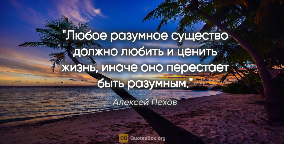Алексей Пехов цитата: "Любое разумное существо должно любить и ценить жизнь, иначе..."