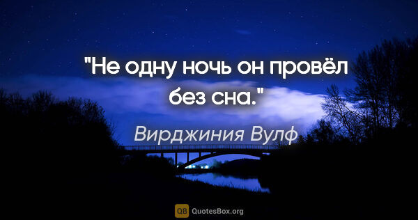 Вирджиния Вулф цитата: "Не одну ночь он провёл без сна."