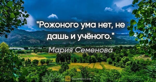 Мария Семенова цитата: "Рожоного ума нет, не дашь и учёного."