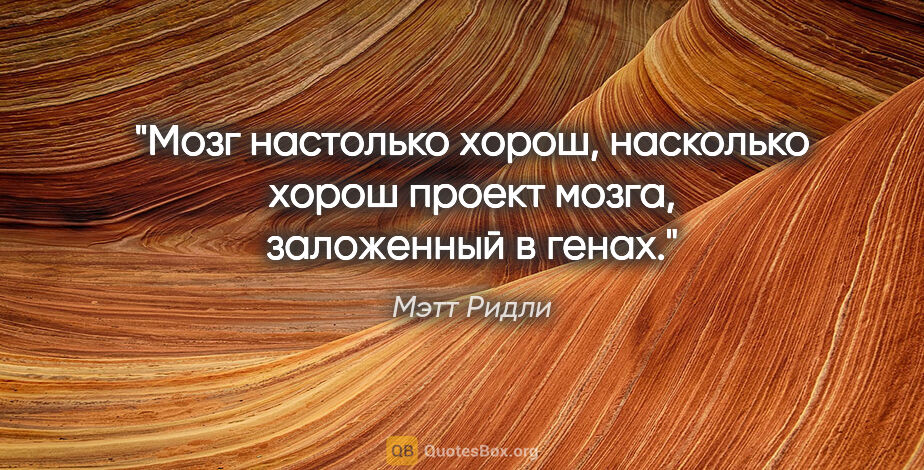 Мэтт Ридли цитата: "Мозг настолько хорош, насколько хорош проект мозга, заложенный..."