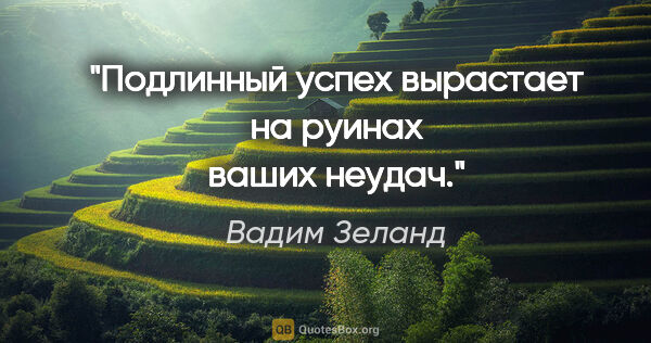 Вадим Зеланд цитата: "Подлинный успех вырастает на руинах ваших неудач."
