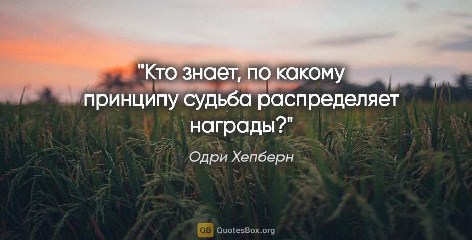 Одри Хепберн цитата: "Кто знает, по какому принципу судьба распределяет награды?"