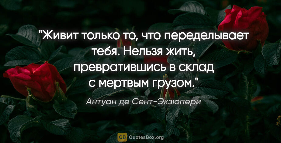 Антуан де Сент-Экзюпери цитата: "Живит только то, что переделывает тебя. Нельзя жить,..."