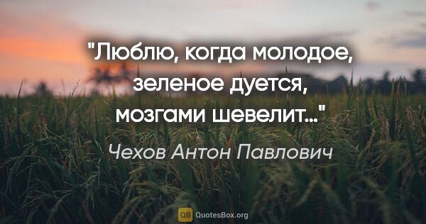 Чехов Антон Павлович цитата: "Люблю, когда молодое, зеленое дуется, мозгами шевелит…"