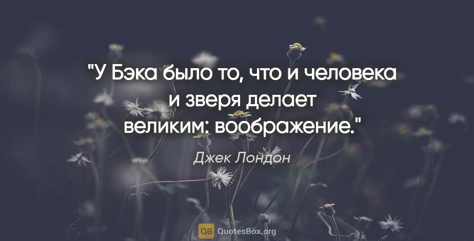 Джек Лондон цитата: "У Бэка было то, что и человека и зверя делает великим:..."